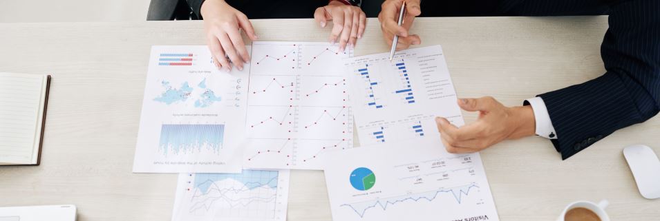 Proyecto de Inspectores Fiscales Sin Fronteras y Honduras